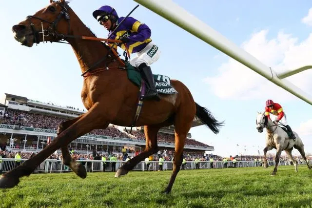 Grand National 2025 | Everything You Need to Know
