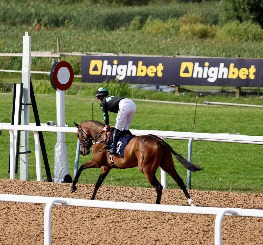 How To Bet On Horse Racing?