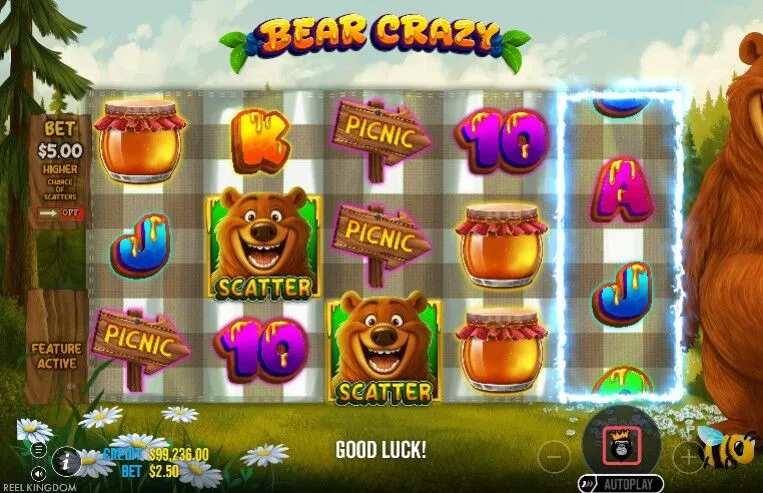 Bear Crazy | Slot Game Review | Pragmatic Play 🐻