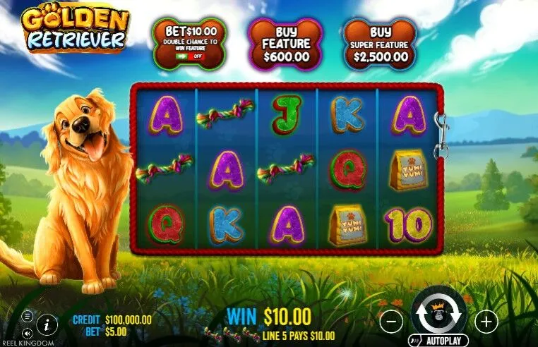 Golden Retriever