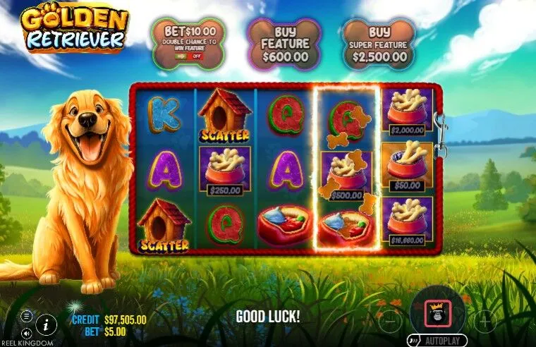 Golden Retriever Slot 2026 Reel Kingdom Pragmatic Play