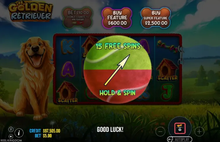 Golden Retriever Slot 2026 Reel Kingdom Pragmatic Play