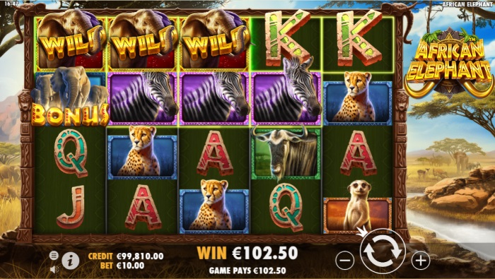 African Elephant Slot Game Review