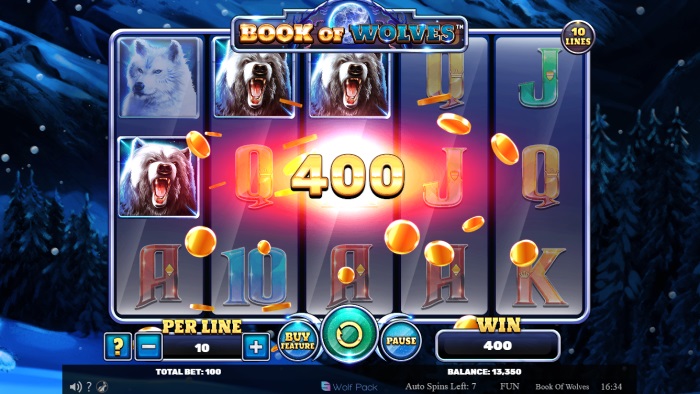 Book of Wolves Slot Game Review
