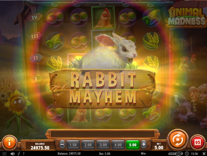Animal Madness Slot Game Review