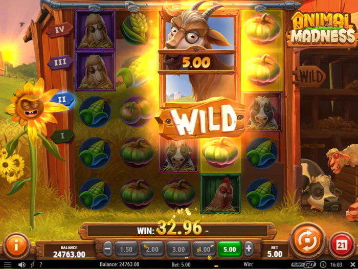 Animal Madness Slot Game Review