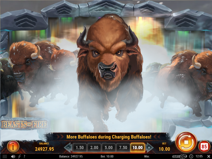 Beasts of Fire Slot Game Review