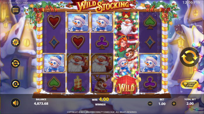 Wild Stocking Reels and Features