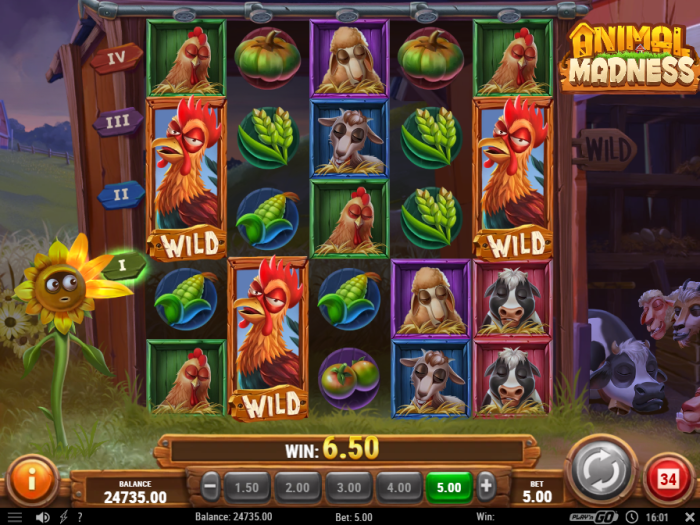 Animal Madness Slot Game Review