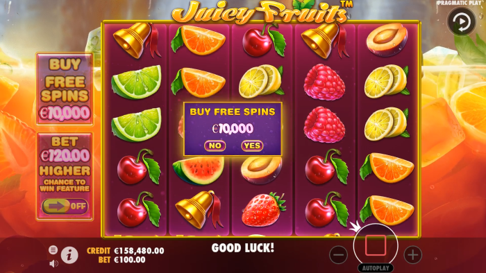 Juicy Fruits Slot Game Review