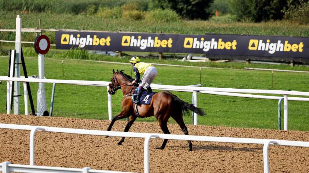 How To Bet On Horse Racing?