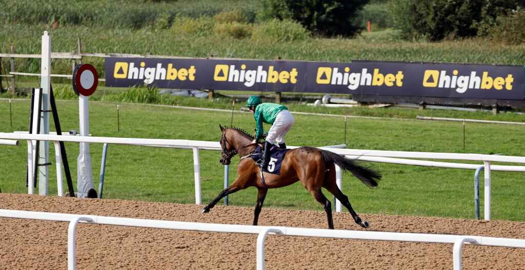 How To Bet On Horse Racing?