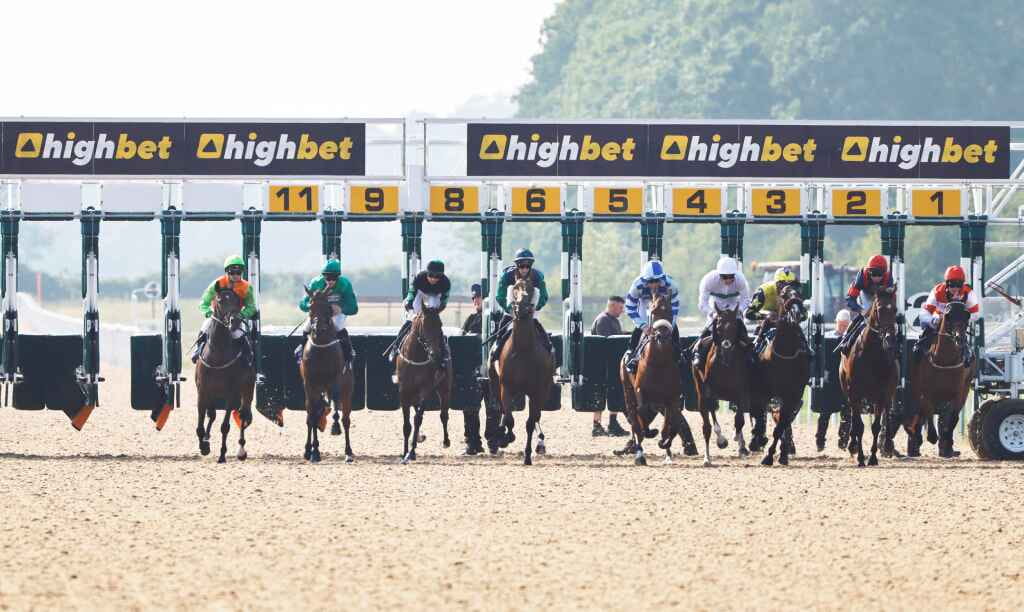 How To Bet On Horse Racing?