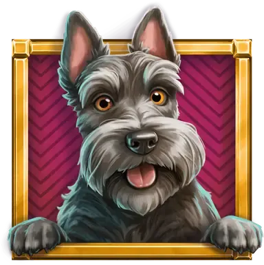 Monopoly Money Magnate | Slot Review | Red Tiger 🎩