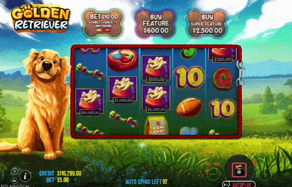 Golden Retriever Slot 2026 Reel Kingdom Pragmatic Play