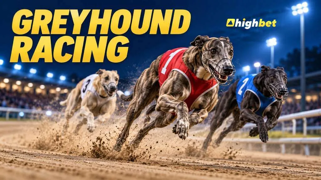 Greyhound Racing at Highbet | 3 Winning Bets 1 Extra Reward